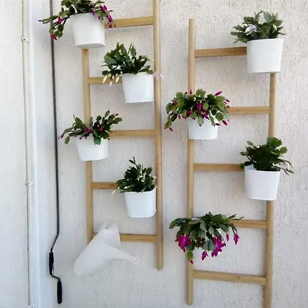 Appartement Loutraki's Balcony *